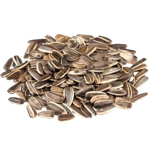 Jumbo Unsalted Sunflower Seeds In Shell by Gerbs – 2 LBS - Top 14 Food Allergen Free & NON GMO - Premium Dry Roasted Whole Sunflower Seed