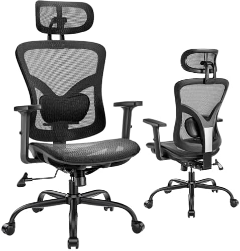 Marsail Ergonomic Mesh Office Chair: Mesh Computer Desk Chair with Adjustable Lumbar Support, 2D Headrest & Up and Down Armrest, Ergonomic Gaming Chair for Home Office, Black