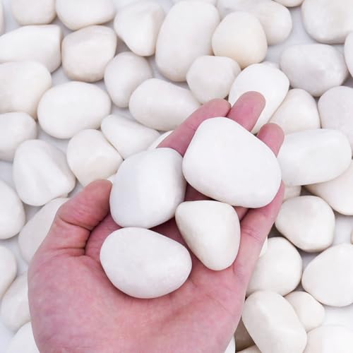 15 lbs White Rocks for Plants Indoor, 1-3 inch Decorative Garden Stone Outdoor Landscaping, Walkways, Yard, Large Polished River Rocks for Plants Pots, Vases, Crafts
