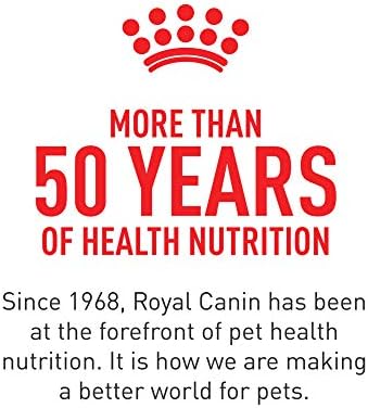 Royal Canin® Feline Health Nutrition™ Indoor Adult Morsels in Gravy Canned Cat Food, 3 oz (Pack of 24)