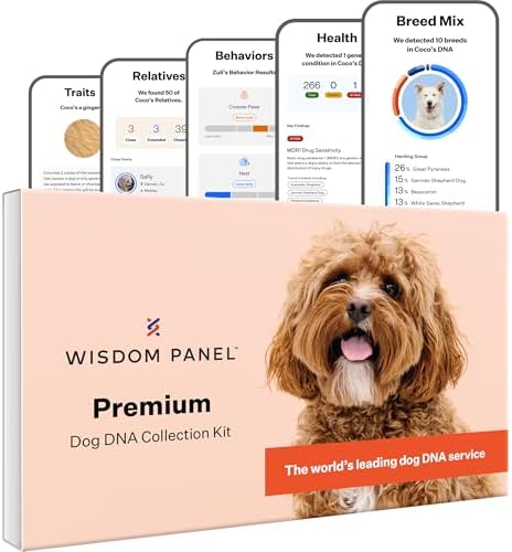 Wisdom Health Panel Premium Dog DNA Kit: Most Comprehensive with 265+ Health Tests, Identify 365+ Dog Breeds, 50+ Traits, Relatives, Ancestry, Genetic Diversity - Pack of 1