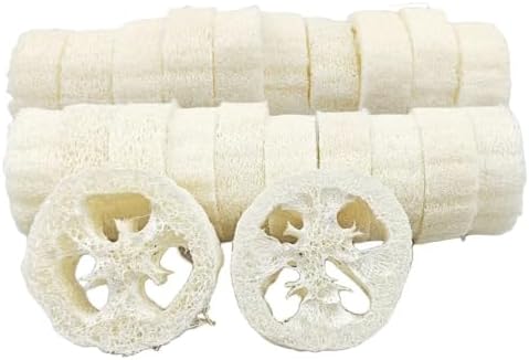 22PCS Natural Loofah Slices, Reusable Natural Loofah Cuts for Cleaner Sponge Scrubber, Facial Soap Holder and DIY Customize Soap Tools with 1 Storage Bag (Diameter 3.15In, Thick 1In)
