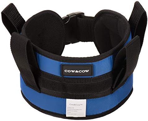COW&COW Padded Gait Belt with 4 Handles and Quick Release Buckle 5.5 inchs(Blue, S/24inches-30inches)