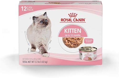 Royal Canin Feline Health Nutrition Kitten Thin Slices in Gravy Canned Cat Food, 3 oz cans 12-pack