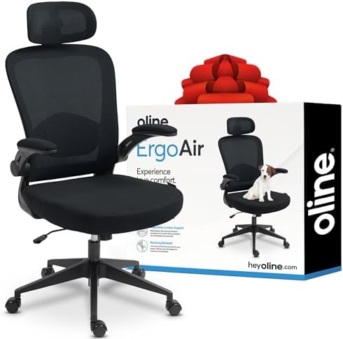 Oline ErgoAir Ergonomic Office Chair â€“ Adjustable Lumbar Support, Flip-Up Armrests, Mesh Computer Desk Chair, Swivel Rolling Executive Gaming Chair for Home & Office (Black)