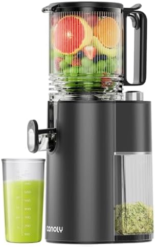 Cold Press Juicer, 5.3" Wide Feed Chute Juice Extractor Machine with 400W, High Juice Yield, Slow Masticating Juicer for Whole Vegetables & Fruits, Black Gray