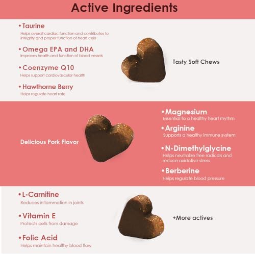 Cardio MAX Heart Support Supplement for Dogs - L-Taurine, L-Carnitine, EPA and DHA, Coenzyme Q10 - Aids Circulatory Strength, Cardiovascular Support, Heart Muscle Function- 60 Soft Chews