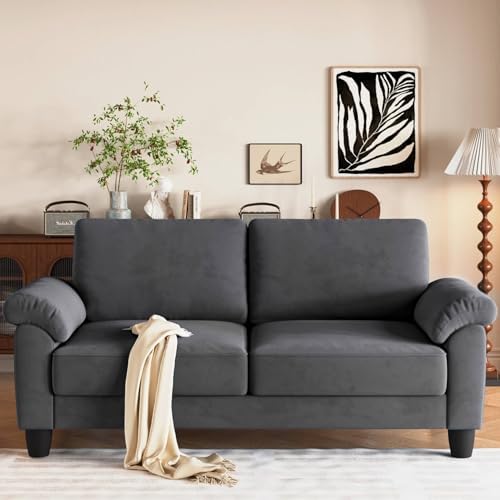 70" Sofa Living Room Couch, Velvet Deep Couches for Small Spaces, Mid Century Modern Loveseat with Storage Bag, Bedroom, Apartment, Office, Removable Sofa Cover Spring Cushions, Fast Assembly, Grey