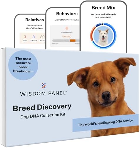 Wisdom Health Panel Breed Discovery Dog DNA Kit: Most Accurate Dog Breed Identification, Test for 365+ Breeds, MDR1 Health Test, Ancestry, Relatives