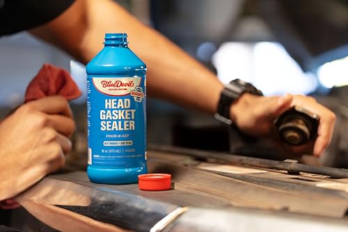 BlueDevil Products 00209 Pour-N-Go Head Gasket Sealer - 16 Ounce