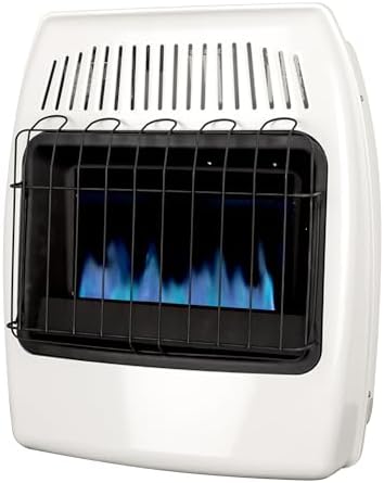 Dyna-Glo 20,000 BTU Natural Gas Blue Flame Vent Free Wall Heater