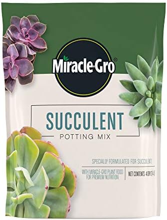 Miracle-Gro Succulent Potting Mix, For Indoor Succulents, Aloe Vera and More, Made with Miracle-Gro Plant Food, 4 qt