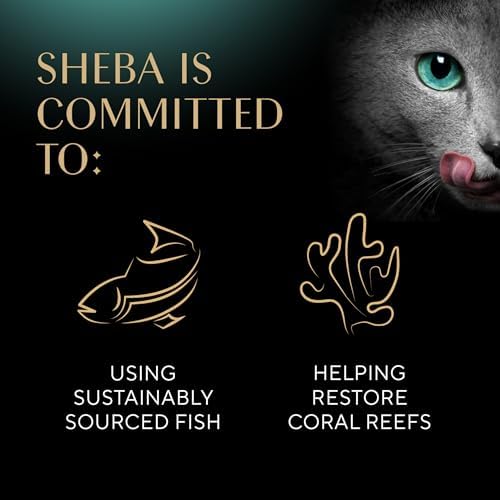 Sheba Perfect Portions Wet Cat Food Cuts in Gravy With Sustainable Tuna, 2.6 oz., Twin-Pack Trays (24 Count, 48 Servings)