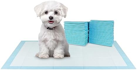 BV Small Puppy Pads Leak-Proof 17"x24" [100CT] | Pee Pads for Dogs Ultra Absorbent 6-Layer Pets Potty Training Pads for Dogs, Dog Pad for Cat, Rabbit, Guinea Pig
