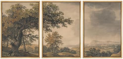 MUDECOR Framed Wall Art Print Set Vintage Landscape Rustic Tree and Mountain View Illustrations Decorative Colorful for Living Room, Bedroom, Office - 24"x36"x3 Natural