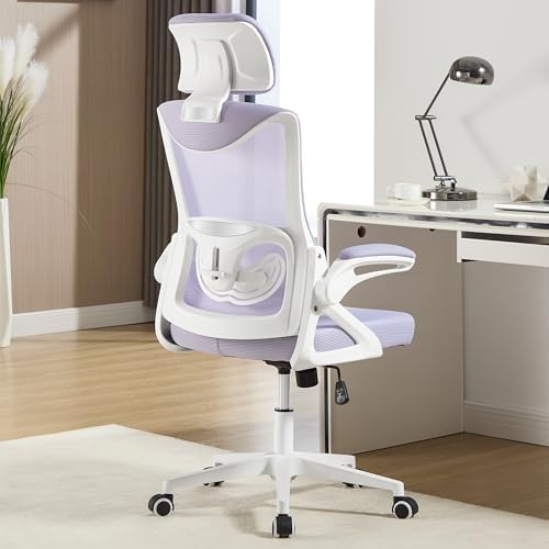 Fizzin Ergonomic Office Chair,Ergonomic Desk Chair with Headrest Mesh Computer Chair with High Back Adjustable Lumbar Support, Rolling Swivel Chairs with Wheel Armrests for Home Office (Lavender)