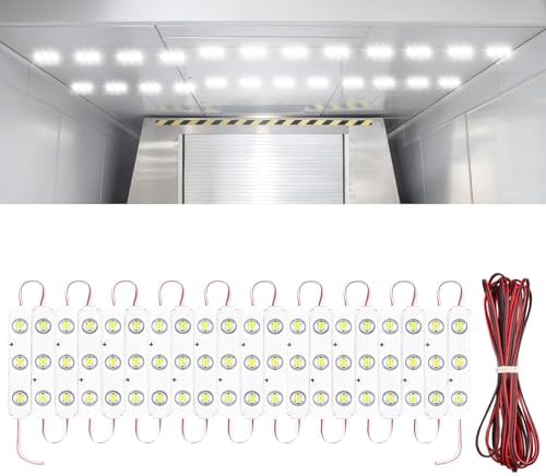 Linkstyle 60 LEDs 12V Van Interior Light Car LED Ceiling Lights Kit, Super Bright Lighting Dome Lamp for Van RV Truck Auto Vehicle Boats Lorries Bus Camper Christmas Lights(20 Modules, White)