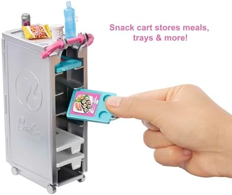 Barbie Toy Airplane Playset, Dreamplane with 15+ Doll-Sized Accessories Including Puppy, Snack Cart, Reclining Seats & More (Amazon Exclusive)