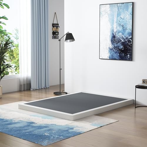 Low Profile Box Spring Queen Size, 3 Inch Box Spring for Queen Bed, Heavy Duty Mattress Foundation, Metal Bed Base,Non-Slip,Easy Assembly