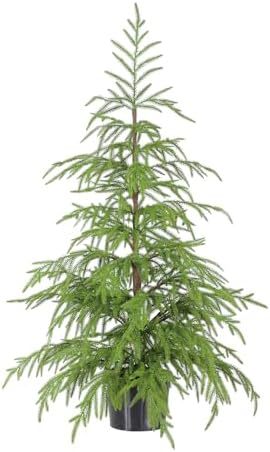 WBHome 3ft Tabletop Artificial Norfolk Pine Tree - 36" Faux Tree Potted Green for Front Porch Christmas Indoor Outdoor Decor, Ornament Decorations Inculded