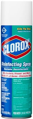 Clorox Disinfectant Spray, 19 Ounce, 1 Each