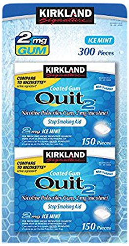 Kirkland Signature Quit Ice Mint Gum 2mg, 300 Pieces