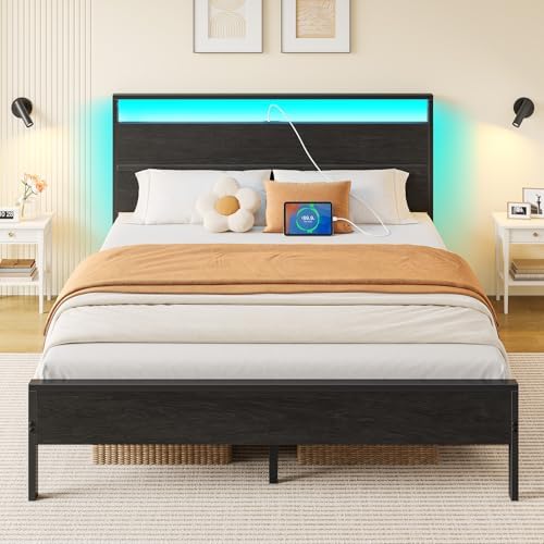 Rolanstar Queen Bed Frame with Headboard, Bed Frame Queen with LED Lights, Camas Queen Size Bed with Charging Station, Solid Metal Slats, Noise Free, No Box Spring Needed, Black