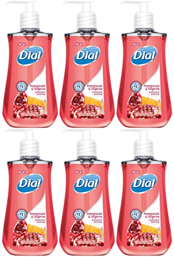 DIA02795 - Dial Pomegranate Antibacterial Hand Soap - 6 Pack