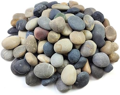 5 lbs Natural Aquarium Rocks Mexican Beach Pebbles, 2-3 Inch Decorative River Rocks for Fish Tank Landscaping Garden Paving Fountain Plant Rocks Walkways and Outdoor Decorative Stone