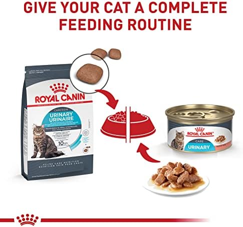Royal Canin Feline Urinary Care Thin Slices in Gravy Wet Cat Food, 3 oz can (12-count)