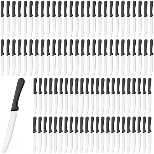 Zhehao 100 Pcs 8.39 Inches Stainless Steel Steak Knives Set Rounded Head Serrated Steak Knife with Plastic Handle Round Tip Blade Knives for Kitchen Restaurant Gift Party(Black)