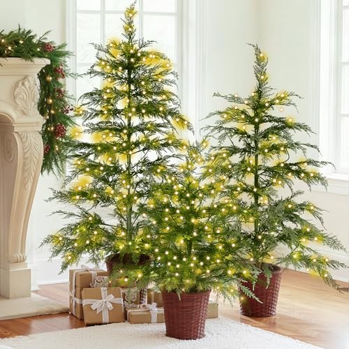 Set of 3 2ft 3ft 4ft Pre-lit Twinkle Christmas Cypress Tree with 180 LED Light Realistic Artificial Trees with Woven Basket Base Xmas Holiday Decor for Indoor Living Room Home (Cypress Tree)