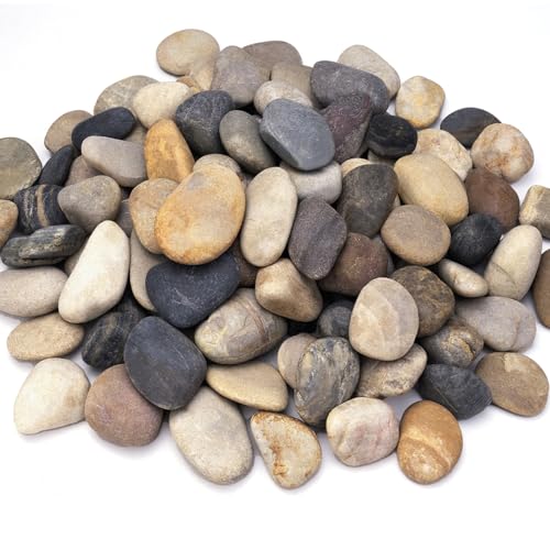 20 lbs River Rocks for Landscaping, 2"-3" Decorative Garden Stones for Plants, Flower Pots, Vase, Walkways, Yard, Natural Rocks for Aquarium, Fish Tank