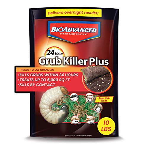 BioAdvanced 24-Hour Grub Plus for Lawns Ant, Tick, and Insect Killer, 10-Pounds, Ready-to-Spread Granules, Standup Bag