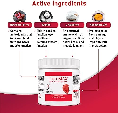 Cardio MAX Heart Support Supplement for Dogs - L-Taurine, L-Carnitine, EPA and DHA, Coenzyme Q10 - Aids Circulatory Strength, Cardiovascular Support, Heart Muscle Function- 60 Soft Chews