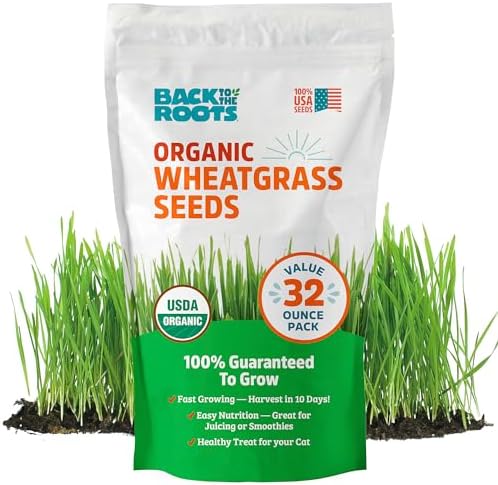 Back to the Roots Organic Wheatgrass Seeds – 2lb Non-GMO Value Pack; Great for Growing Nutritious Wheatgrass, Also Catgrass (Natural Hairball Remedy for Cats)