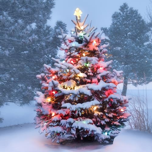 PHILIPS 50 LED Multicolor Smooth C9 Christmas Lights on Green Wire with Storage Spool - UL Listed for Indoor/Outdoor Use - 26.83' Total Length with 6" Bulb Spacing - String Lights for Christmas Tree