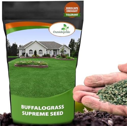 Outsidepride Perennial Buffalo Grass Seed - 2 lbs Heat & Drought Tolerant, Low Maintenance, Warm Season Dense Turf Grass Seed for Lawn, Xeriscape Landscaping, & Roadside Planting