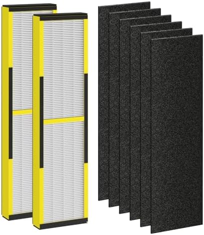 FLT4825 Replacement Filter B Fit for Germ Guardian Air Purifier, ac4825e Replacement Filter Fit for ac4825 AC4825 AC4300 AC4900 AC4825DLX AC4850 CDAP4500 AP2200, 2 True HEPA + 6 Carbon Filters