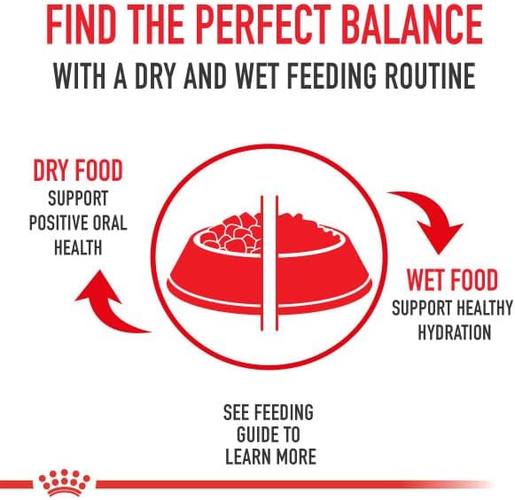 Royal Canin® Feline Health Nutrition™ Indoor Adult Morsels in Gravy Canned Cat Food, 3 oz (Pack of 24)