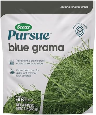 Scotts Pursue Blue Grama with Natural Seed, Seeding for Large Areas, 1 lb.