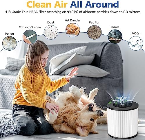 Model 14 Replacement Filter for MA Series 14/14W/14B Air Purifier, 3-in-1 True HEPA Activated Carbon Filter ("14" Means Model not Height)