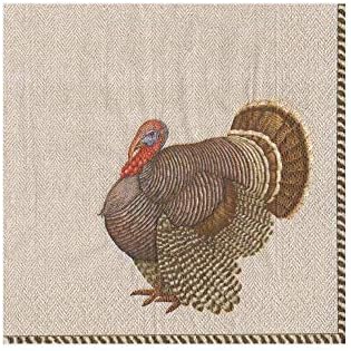 Caspari Turkey Thomas T. Byrd Cocktail Napkins, Pack of 20