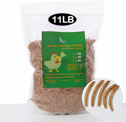 11LBs Non-GMO Dried Mealworms,High-Protein Larvae Treats Feed Molting Supplement for Birds Hens Ducks etc,Large Bulk Meal Worms Birds Chicken Food