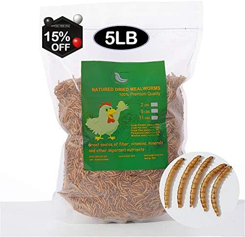 5LBS Non-GMO Dried Mealworms for Wild Bird Chicken Fish,High-Protein,Large Meal Worms.