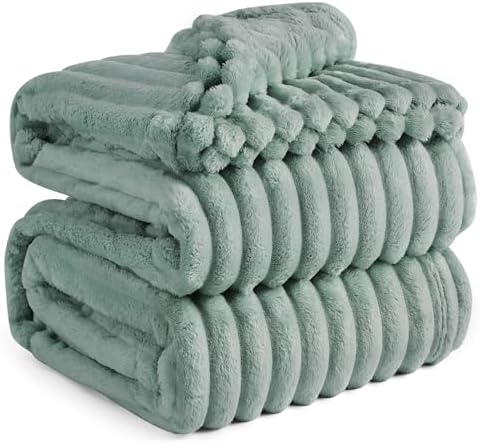 Bedsure Blankets Queen Size for Bed - GentleSoft Cozy Soft Blankets for Women, Cute Large Fleece Throws for Girls, Sage Green, 90x90 Inches