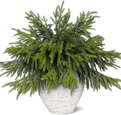 80 Pcs Real Touch Norfolk Pine Branches, Artificial Christmas Green Plants Branch Faux Greenery Stem Fake Pine Picks for Vase DIY Crafts Garland Wreath Xmas Indoor Outdoor Decor(18 Inches)