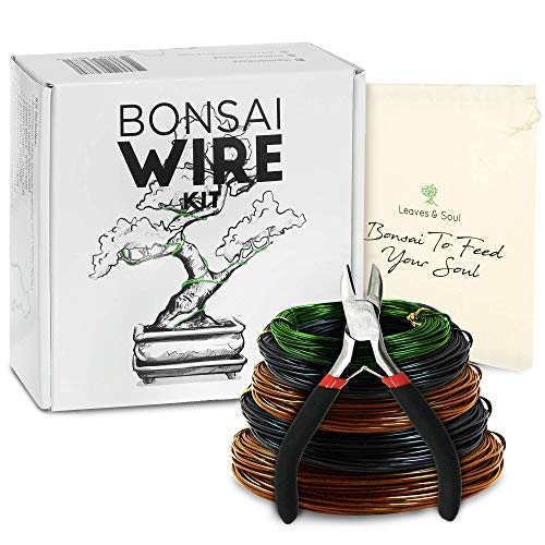 Leaves & Soul Tree Training Wire Kit - 5 Rolls (160ft) Aluminum Alloy Bonsai Plant Training Wire & Cutter | Canvas Storage Bag - Bonsai Accessories for Beginners & Professionals