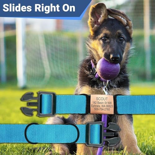 GoTags Silent Personalized Engraved Pet ID Dog and Cat Tags, Jingle Free Quiet Custom Name Tags (Gold, Small)