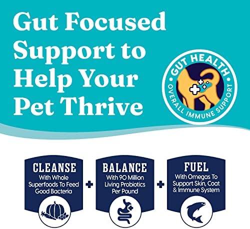 Solid Gold High Protein Dry Cat Food - Indigo Moon Made with Digestive Probiotics for Cats - Grain & Gluten Free with High Fiber & Omega 3 - Low Carb Superfood Meal - Pollock - 12lb